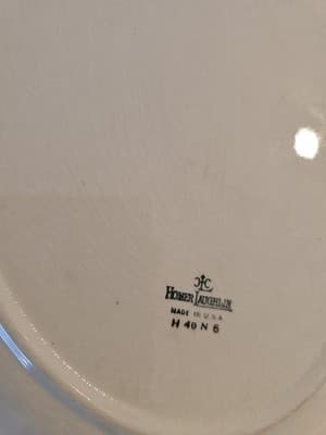 Vintage Homer Laughlin L40N6 Large 13 ¾” Oval Roses Serving Platter USA - Thumbnail 4