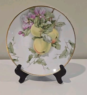 Rosenthal Bavaria Hand Painted Porcelain Plate with Apple Fruit Decor