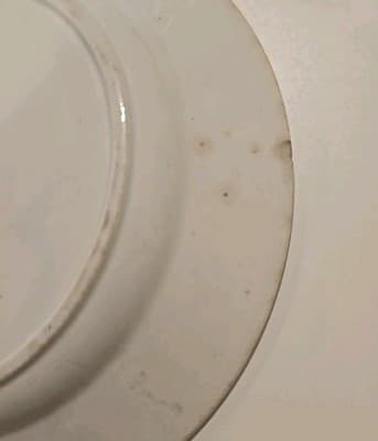 Antique Wedgwood Singanese Red Transferware Plate c. 1847 - Thumbnail 5