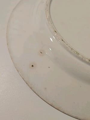 Antique Wedgwood Singanese Red Transferware Plate c. 1847 - Thumbnail 6