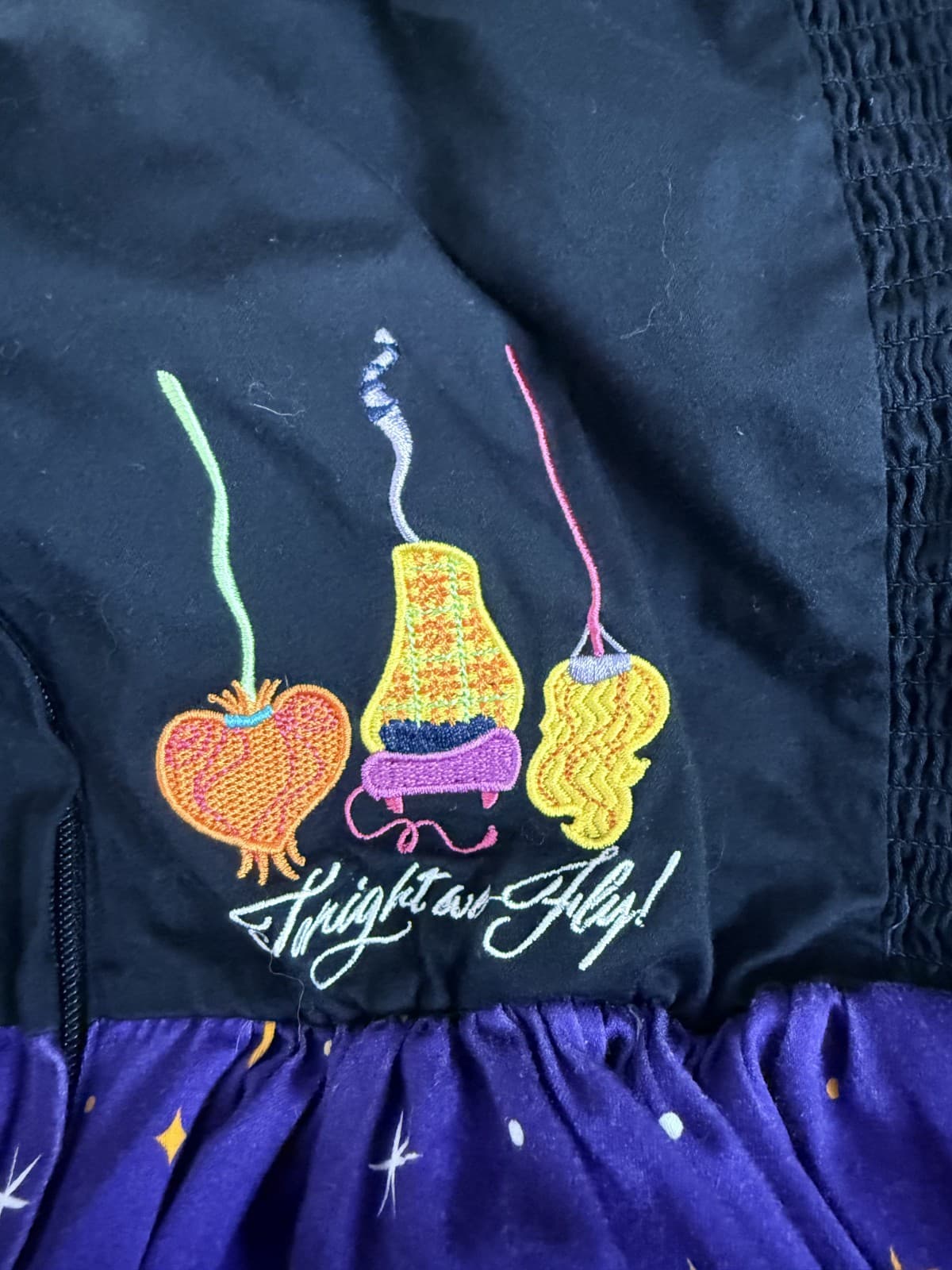 Disney Dress Shop Hocus Pocus Villain Spelltacular Dress 2XL - Thumbnail 10