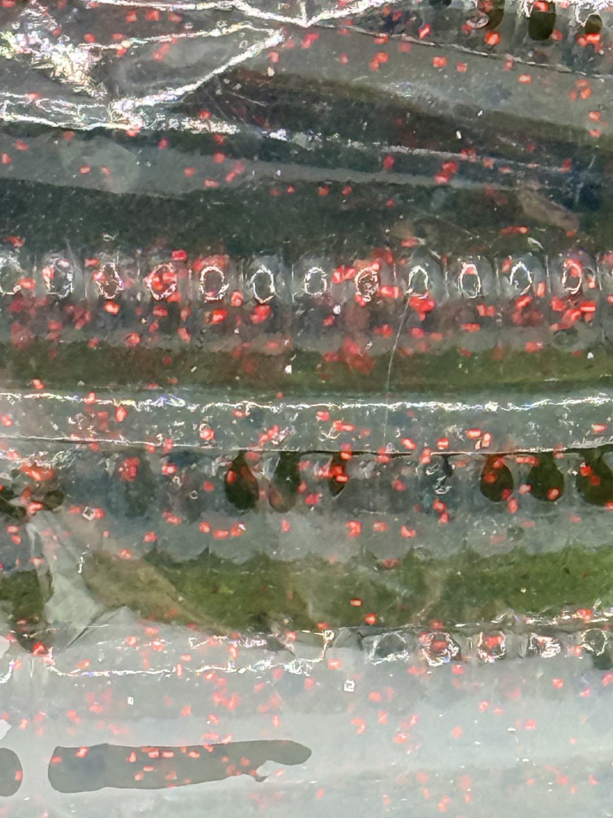 Zoom Trick Worm Watermelon Red 20ct - Thumbnail 2
