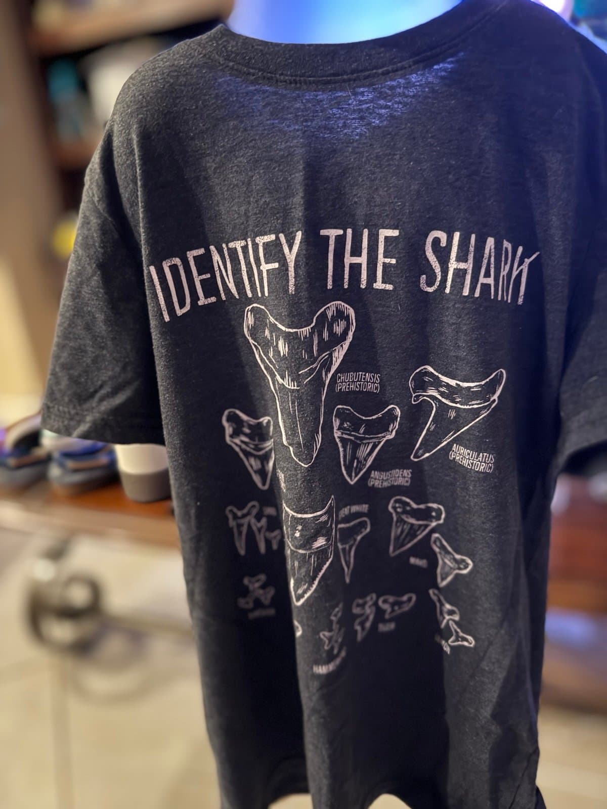 Cat & Jack Identify Shark T-Shirt M (8/10)