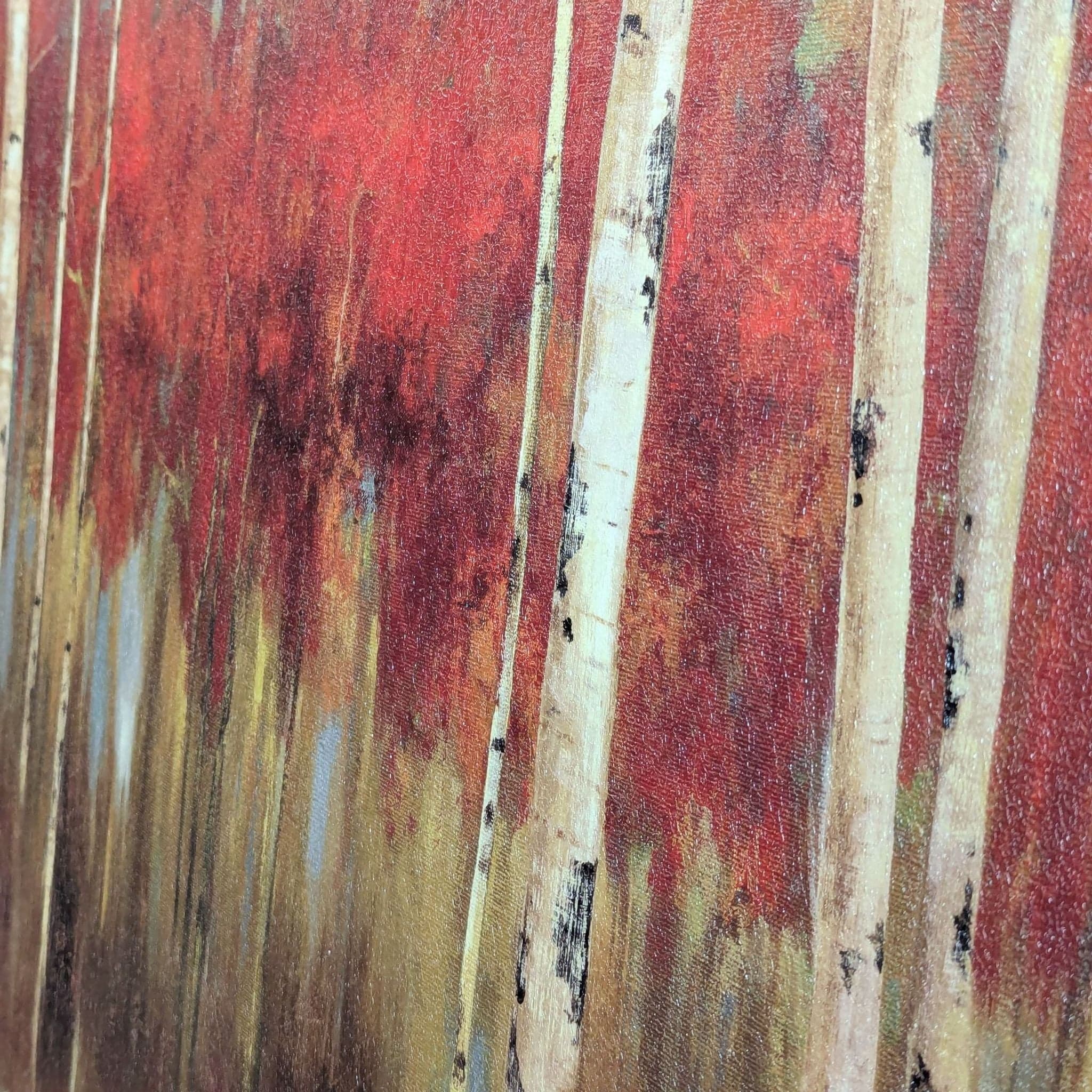 Z Gallerie Autumn Birch Trees Canvas Print Wall Art - Thumbnail 5