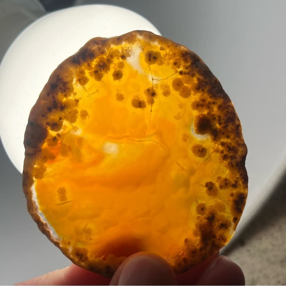 Polished Agate Stone Coaster - Brown and Gray - Thumbnail 7