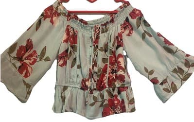 American Rag Pastel Peasant Boho Ruffled Romantic Off The Shoulder Top