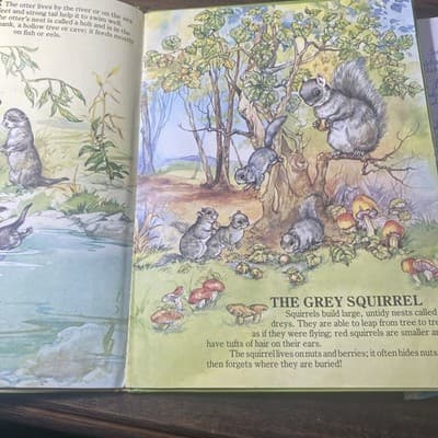 Vintage My First Picture Book Of Baby Animals An Award Book 1984 Hardcover - Thumbnail 3