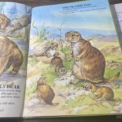 Vintage My First Picture Book Of Baby Animals An Award Book 1984 Hardcover - Thumbnail 4