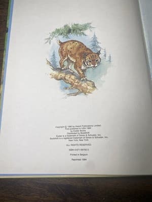 Vintage My First Picture Book Of Baby Animals An Award Book 1984 Hardcover - Thumbnail 2