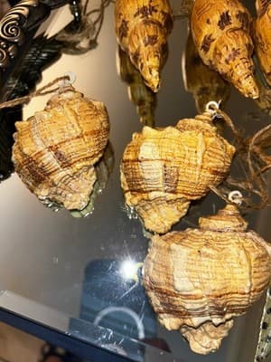 Vintage VERY RARE Set Of 12 Pacific Rim Ceramic Seashell Ornaments Hand Painted - Thumbnail 5