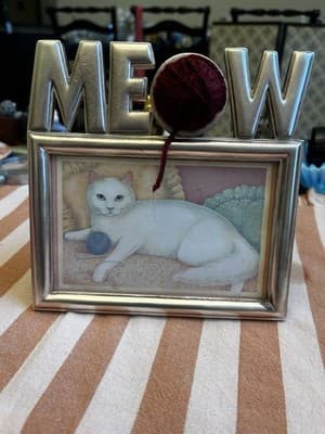 Meow 4x6 Metal Picture Frame With White Cat Yarn Vintage - Thumbnail 2