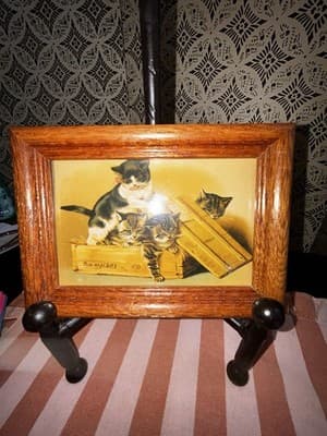 CATS KITTENS PLAYING 4 X 6 gold framed art print Victorian animal picture Vtg - Thumbnail 2