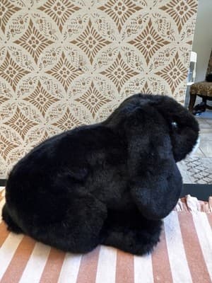 Animal Alley Black & White Bunny Rabbit 14” Weighted Plush Toys R Us Vintage - Thumbnail 2