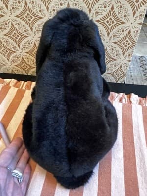Animal Alley Black & White Bunny Rabbit 14” Weighted Plush Toys R Us Vintage - Thumbnail 3
