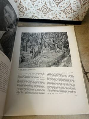 Van Gogh Frederick S Wight 1st Edition Beechhurst Press Hard Copy Vintage - Thumbnail 6