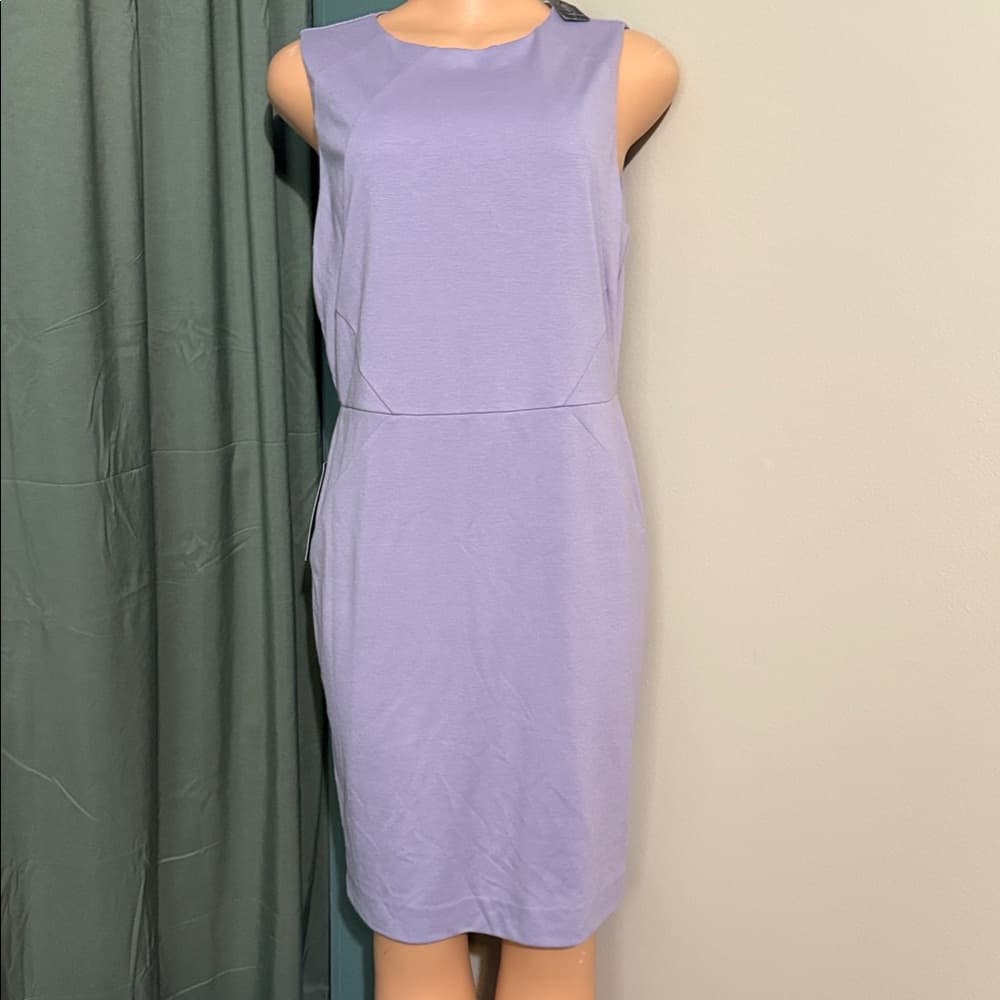 The Limited Lavender Midi Dress - Thumbnail 5