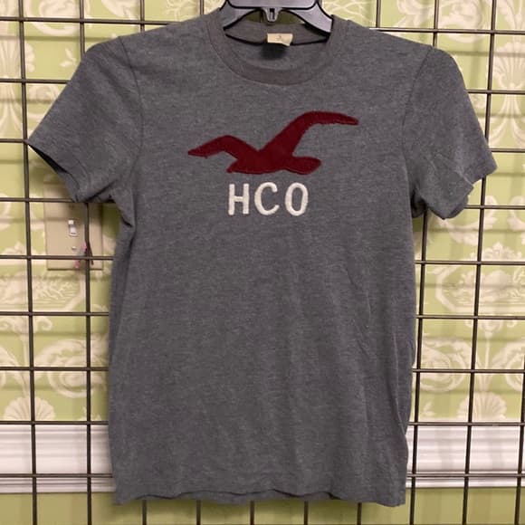 Gray Hollister T-shirt - Thumbnail 3