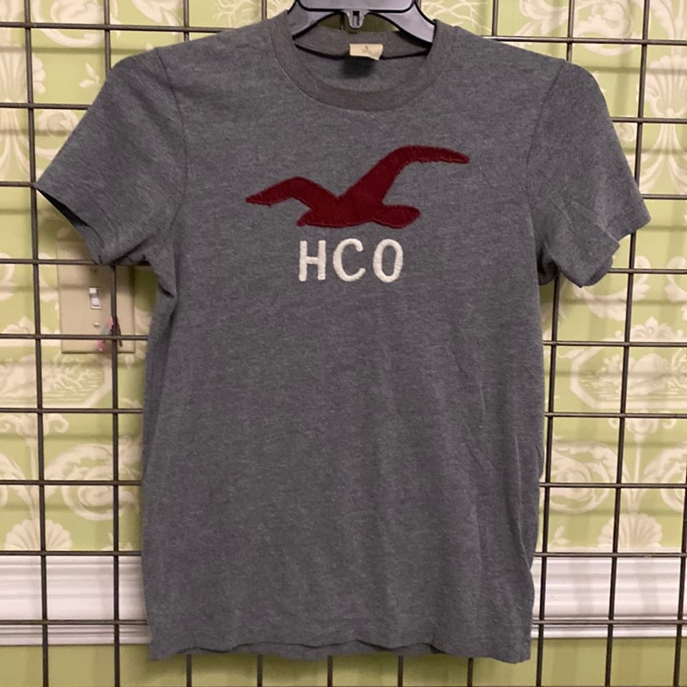 Gray Hollister T-shirt - Thumbnail 2