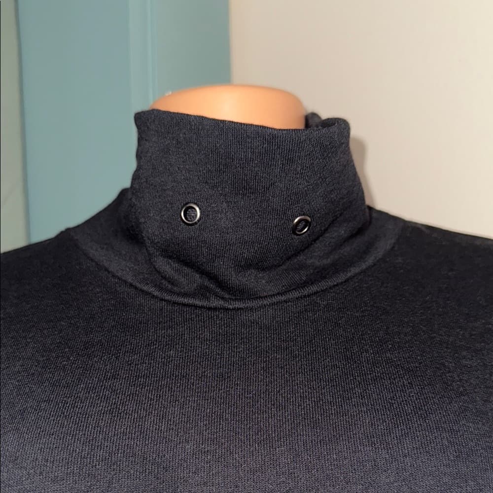 David Lerner Black Turtleneck Sweater by Evereve