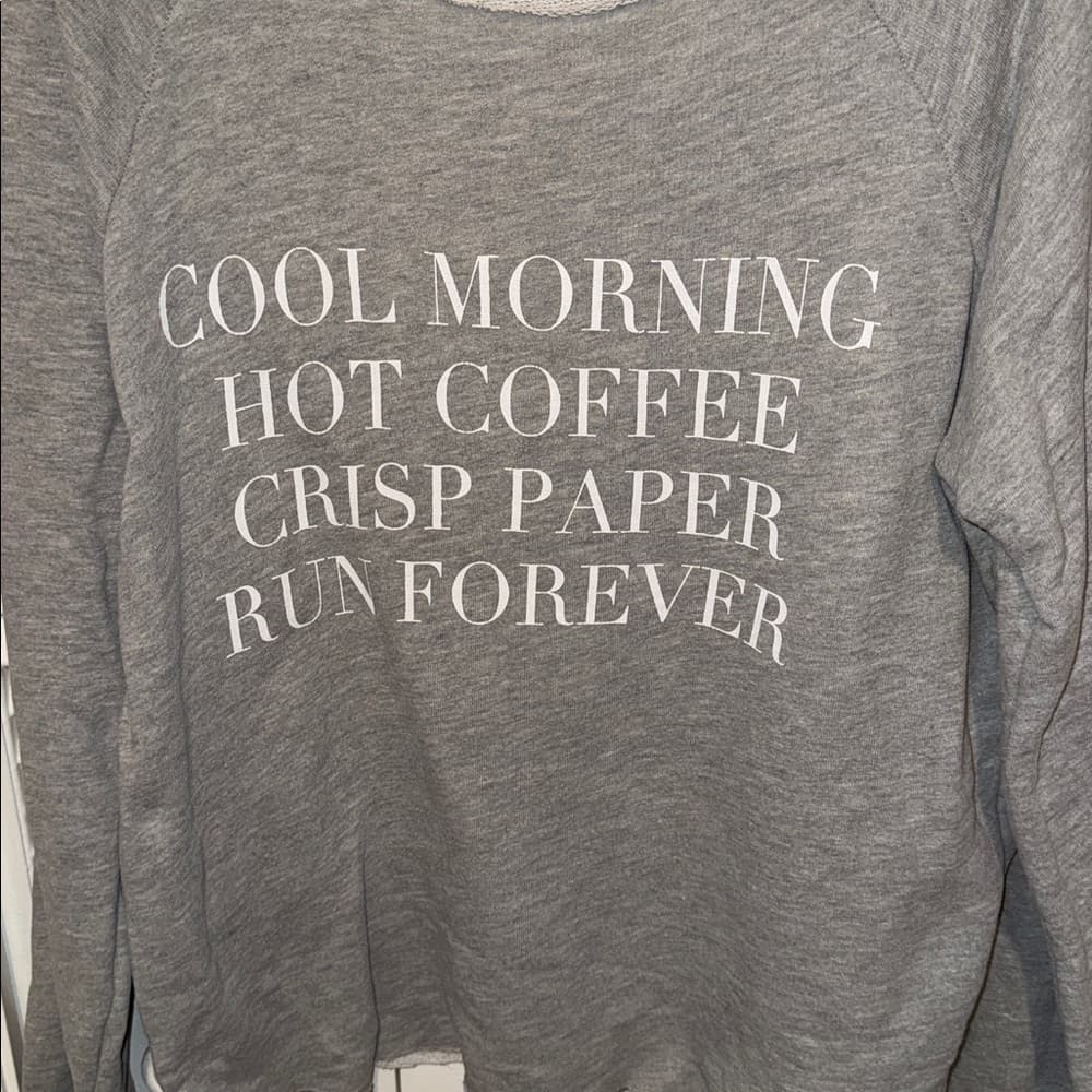Wildfox Heather Gray Knit Top xs oversized - Thumbnail 2