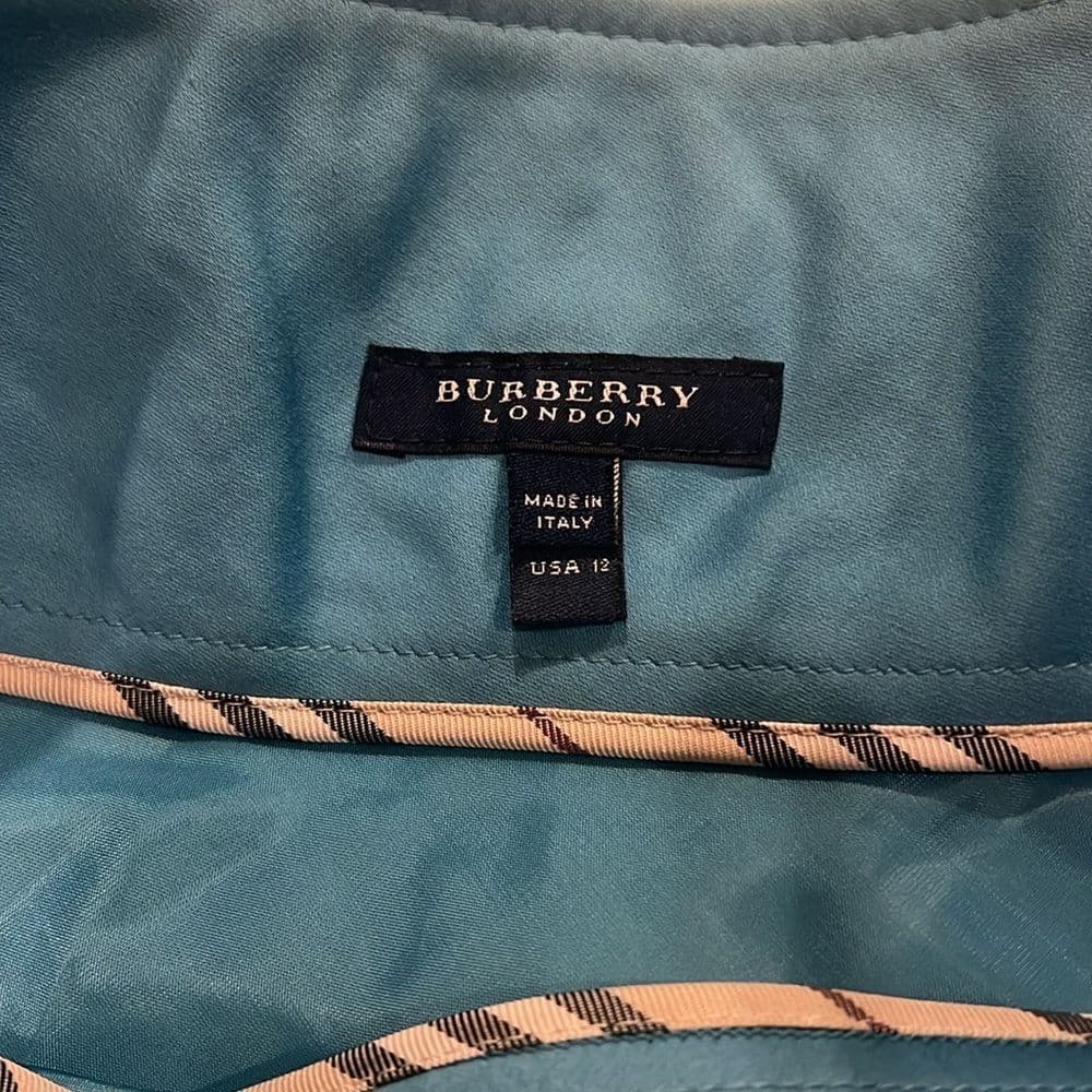 Burberry Blue Mini Pencil Skirt for Casual Wear