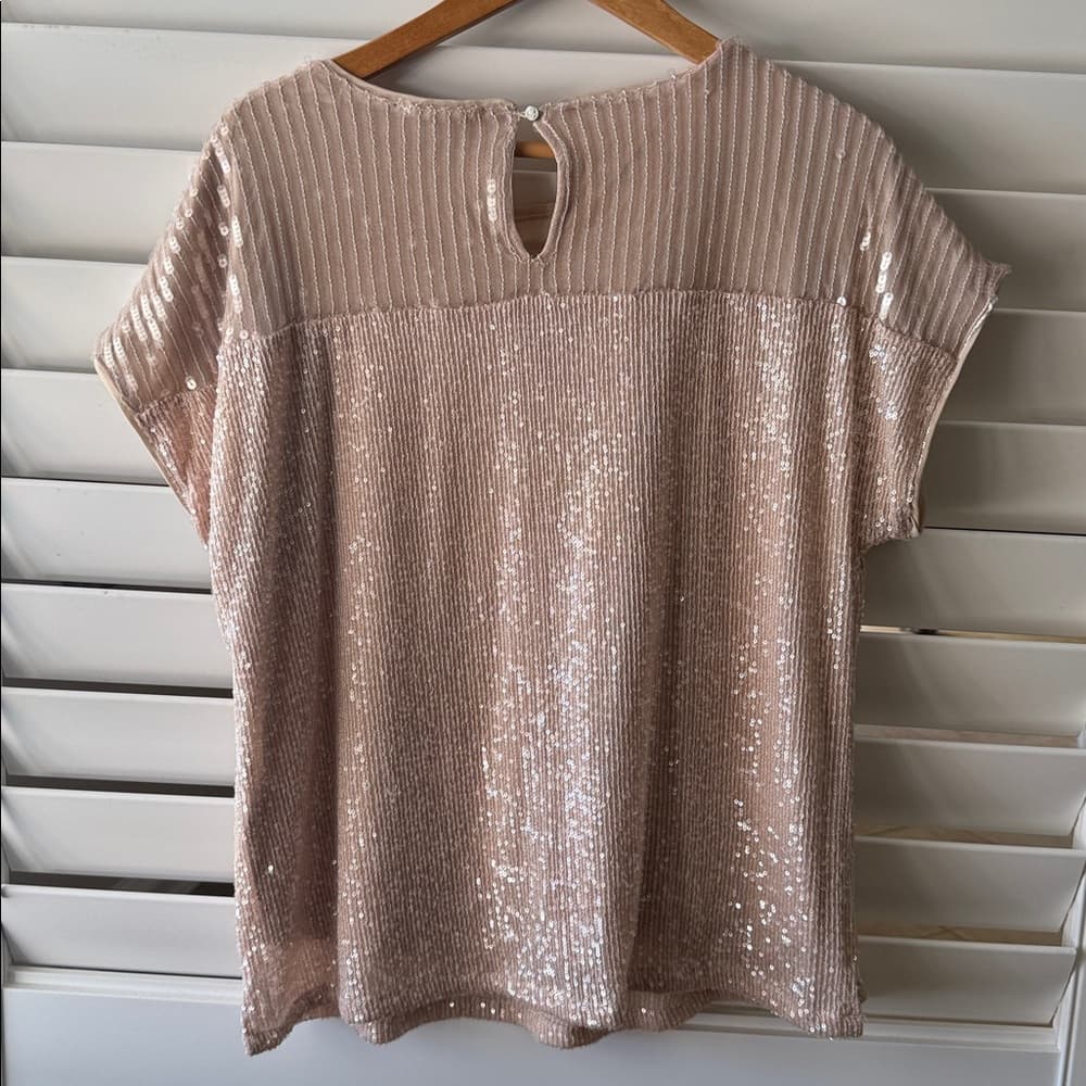 Cable & Gauge Shimmering Beige Sequin Blouse - Thumbnail 3