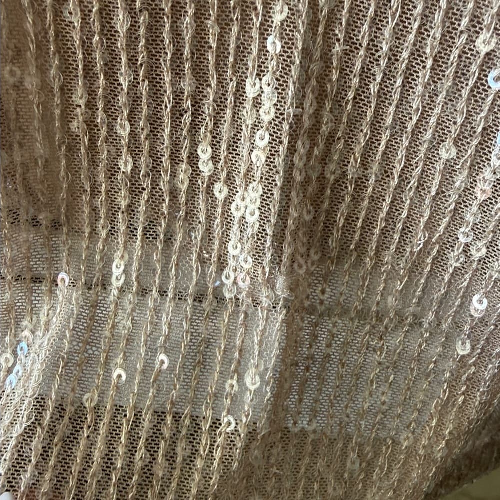 Cable & Gauge Shimmering Beige Sequin Blouse