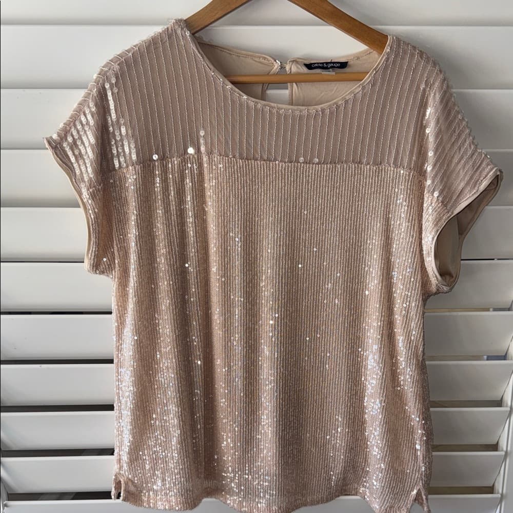 Cable & Gauge Shimmering Beige Sequin Blouse - Thumbnail 4