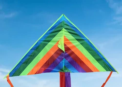 46" Rainbow Kite color Outdoor Free Flyer line K103