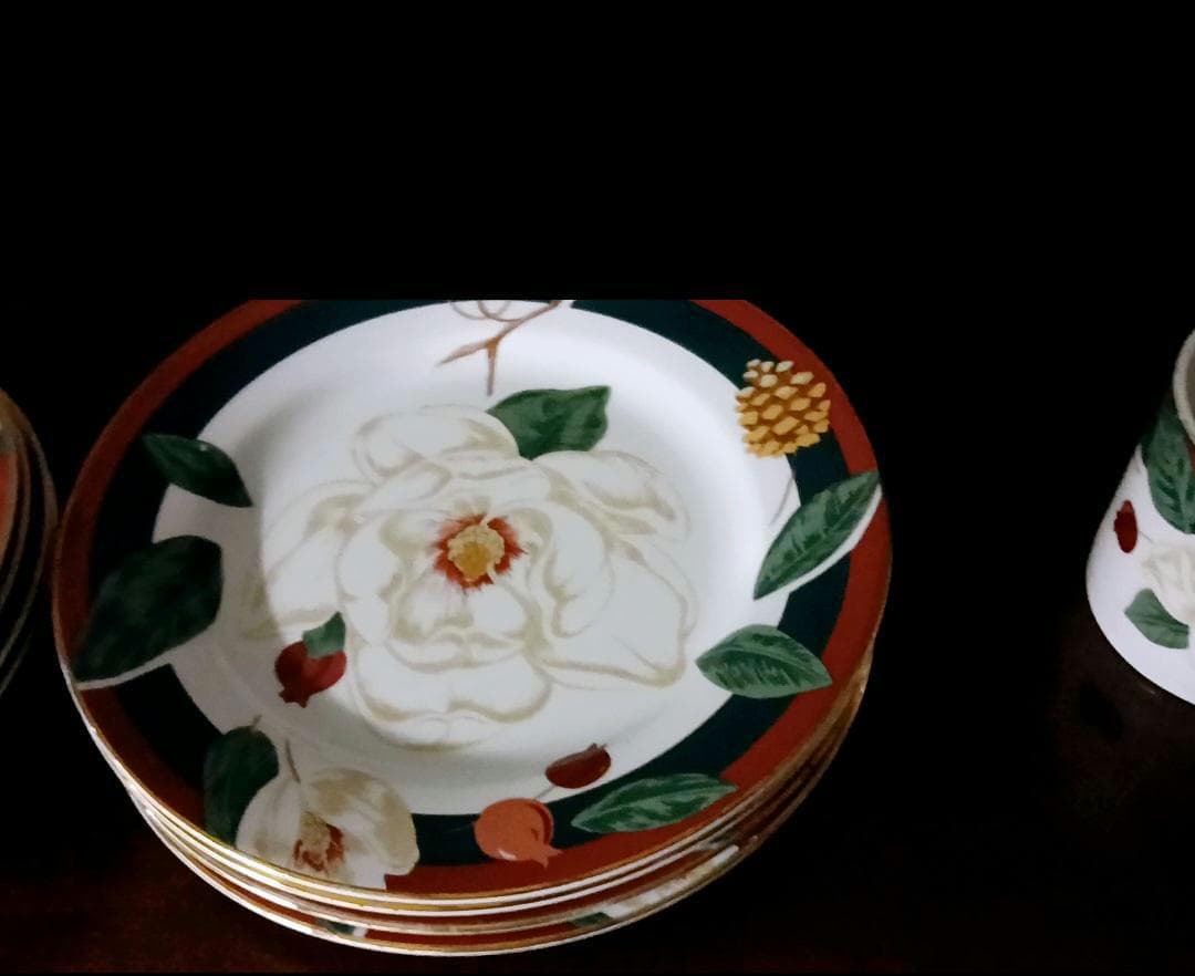 10 Piece~ “Magnolia” 4 Salad Plates & 4 Rim Soup Bowls by Tienshan Magnolia Collection~ 2 Teacups~ Vintage Circa 1996 - Thumbnail 7