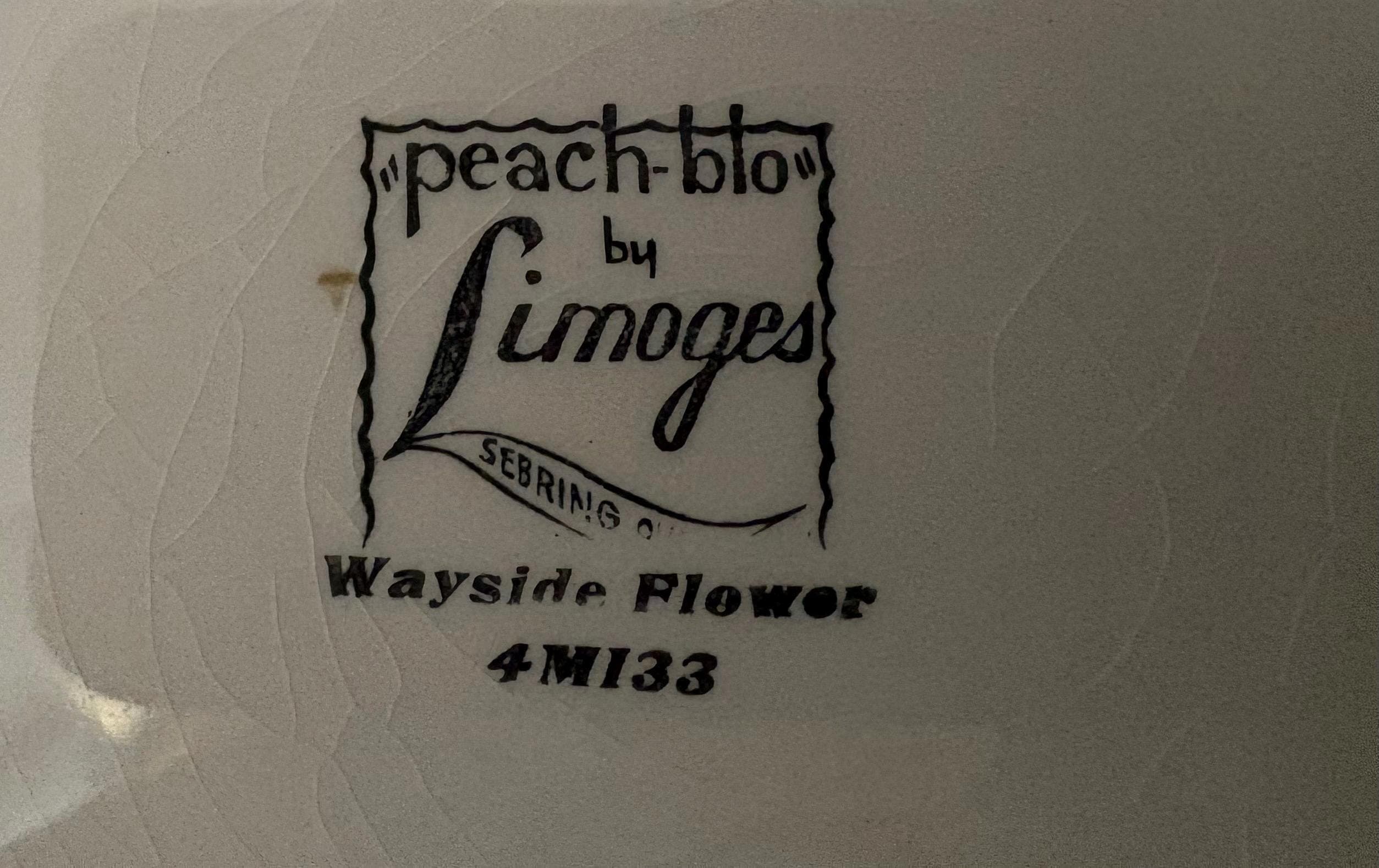 Limoges “Peach-Blo” Dinnerware Wayside Flower by Limoges-American Serving Platter and Silver Handle Serving Bowl - Thumbnail 10