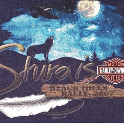 Harley Davidson Sturgis Black Hills Rally 2007 T Shirt Men Large Blue Wolf Moon