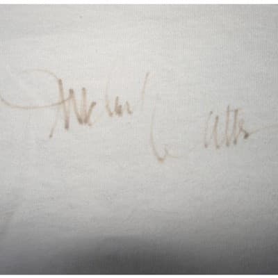 Autographed Vintage Michael Waltrip NASCAR 99 Just For Men T-Shirt White Large - Thumbnail 2