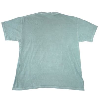 Authentic Pigments Mens The Alamo Victory or Death Graphic T-Shirt Green Large - Thumbnail 3