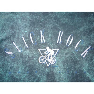 Yesterdays Slick Rock Moab Utah Acid Wash Graphic Tee Teal Mens Large - Thumbnail 4