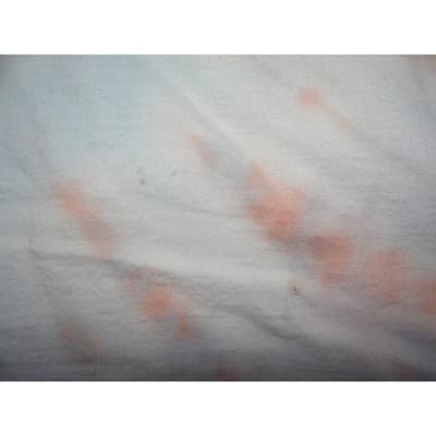 Rare VTG NASCAR Red White Blue Tie-Dye 2000 Craftsman Truck Series T-Shirt XL - Thumbnail 12