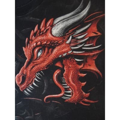 Vintage Men's Black Dragon Graphic T Shirt Fire Ice Mythical Fantasy Shirt - Thumbnail 6