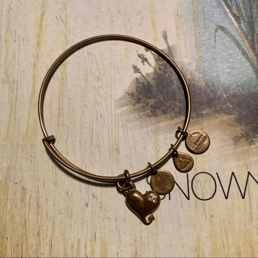 Alex & Ani 3 Bracelets Bundle - Thumbnail 4