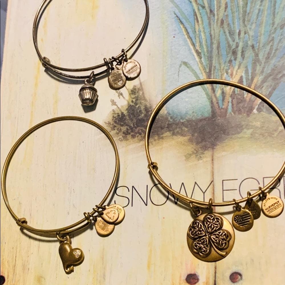 Alex & Ani 3 Bracelets Bundle - Thumbnail 7