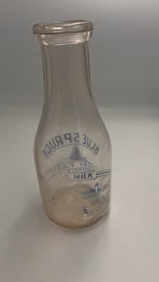 Blue Spruce Dairy Freehold NJ New Jersey one quart milk bottle ( rare) - Thumbnail 3