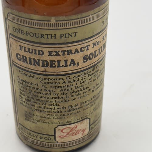 Vintage Grindelia Fluid Extract Medication AmberBottle Eli Lilly 5.5" , Empty - Thumbnail 2