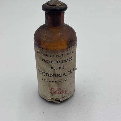 Eli Lilly ANTIQUE Vintage Euphorbia Pilulifera Fluid Extract Bottle Amber EMPTY