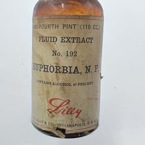 Eli Lilly ANTIQUE Vintage Euphorbia Pilulifera Fluid Extract Bottle Amber EMPTY - Thumbnail 2