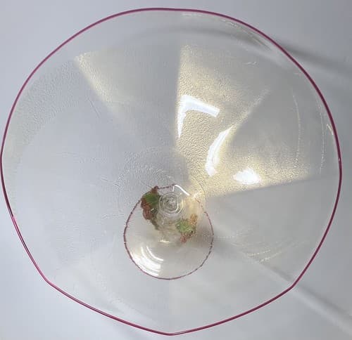 Pauly Signed Venetian Murano Footed Bowl Murano Glass Gold Leaf Extremely Rare - Thumbnail 5