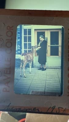 Huge lot 500+ VTG 50's to 70's 35mm Film Slides FAMILY Photos - Thumbnail 8