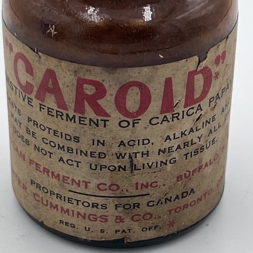 c1930s Caroid Carica Papaya The American Ferment Co. ,Apothecary Medicine Bottle - Thumbnail 2