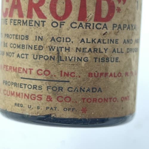 c1930s Caroid Carica Papaya The American Ferment Co. ,Apothecary Medicine Bottle - Thumbnail 3