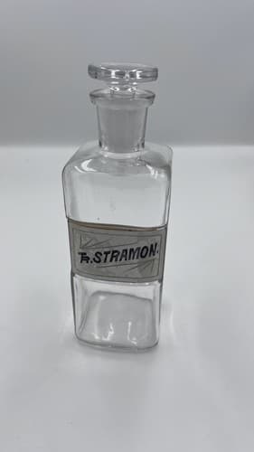 Antique Apothecary Pharmacy Jar Bottle Under Glass Label Tr Stramon 8" - Thumbnail 4