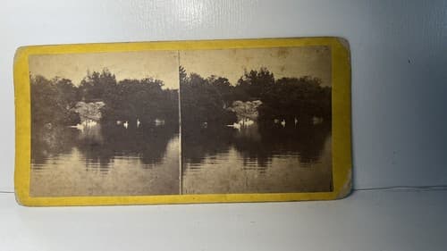 New York City NYC Swans on Lake H T Anthony CENTRAL PARK 1863 Stereoview - Thumbnail 2