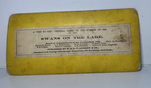 New York City NYC Swans on Lake H T Anthony CENTRAL PARK 1863 Stereoview - Thumbnail 3
